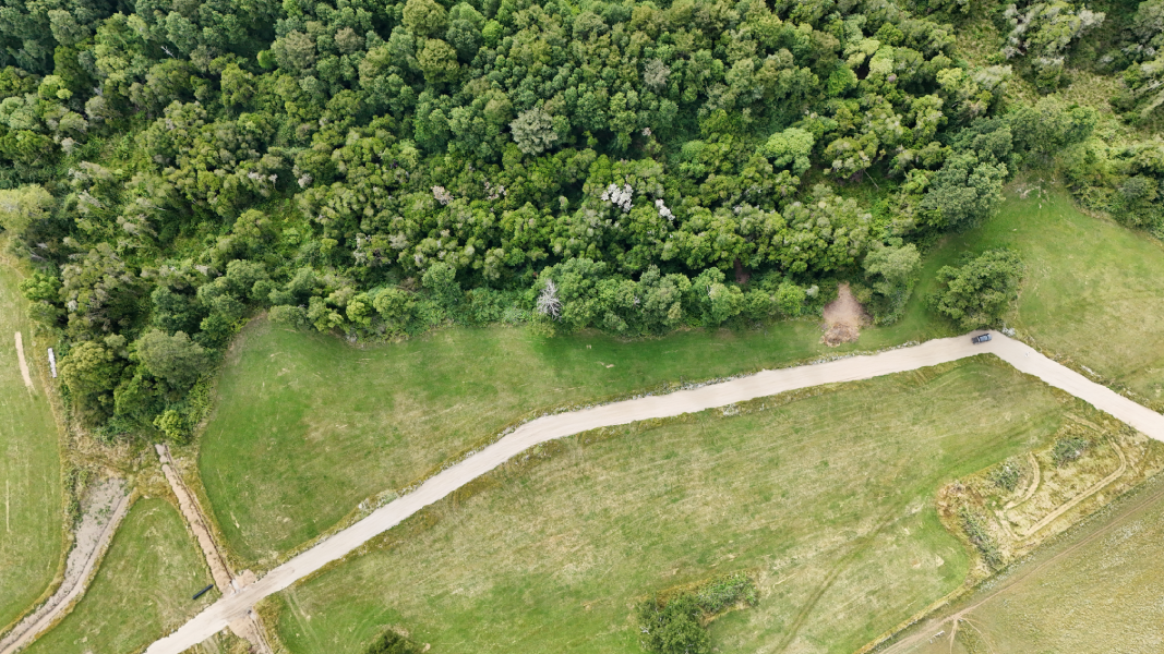 raiz global parcela y bosque